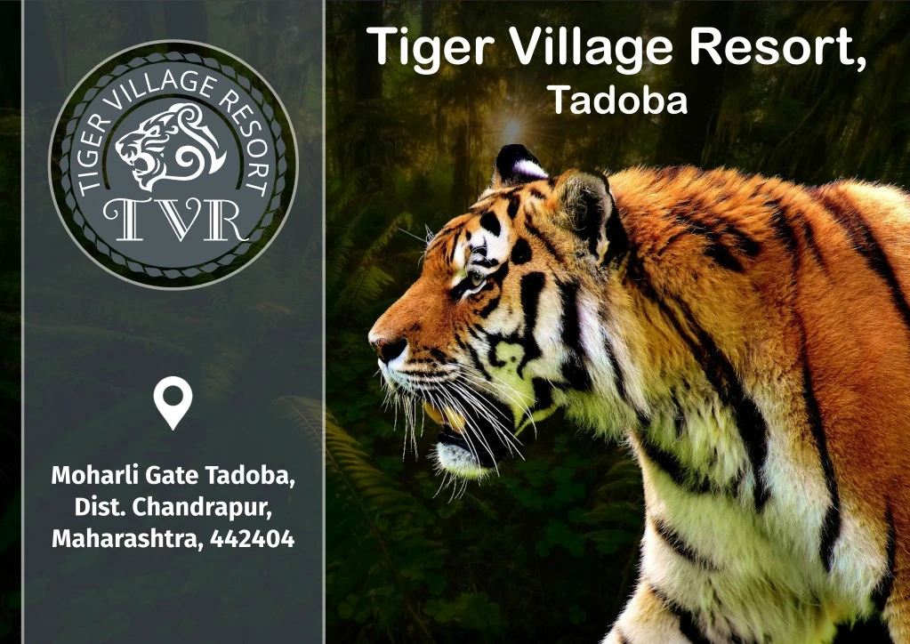 tiger village resort tadoba