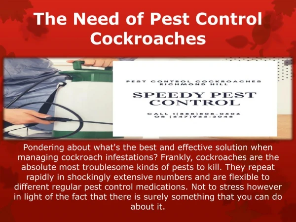 The Need of Pest Control Cockroaches