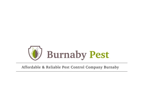 Trusted Pest Control Company In Burnaby