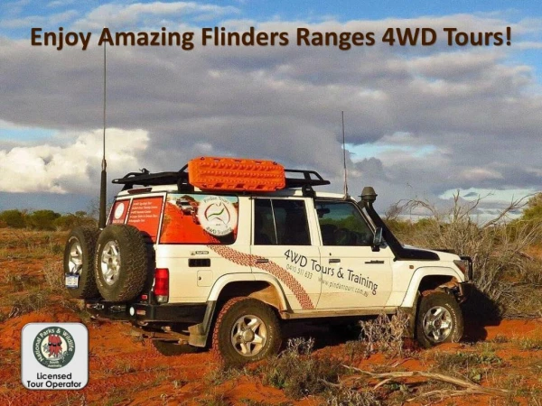Enjoy Amazing Flinders Ranges 4WD Tours!