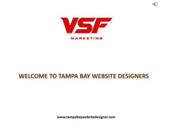 Top Web Design Organization in Tampa - Tampa Bay Website Designer