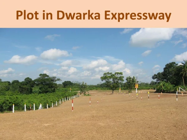 Land for sale in Dwarka Expressway