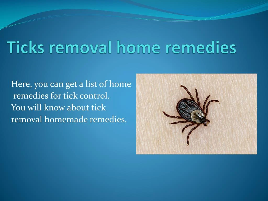 ticks removal home remedies