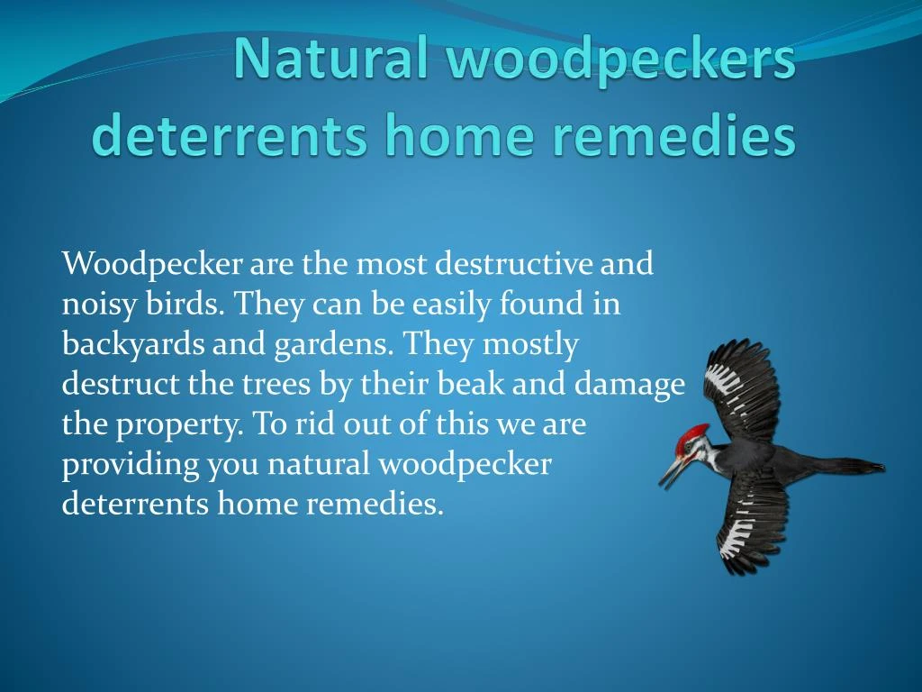 natural woodpeckers deterrents home remedies