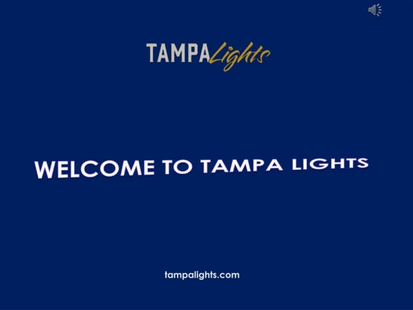 Wedding Lightning Company in Tampa - Tampa Lights