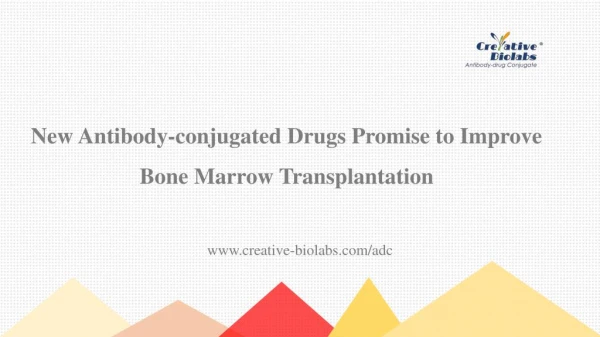 New Antibody-conjugated Drugs Promise to Improve Bone Marrow Transplantation