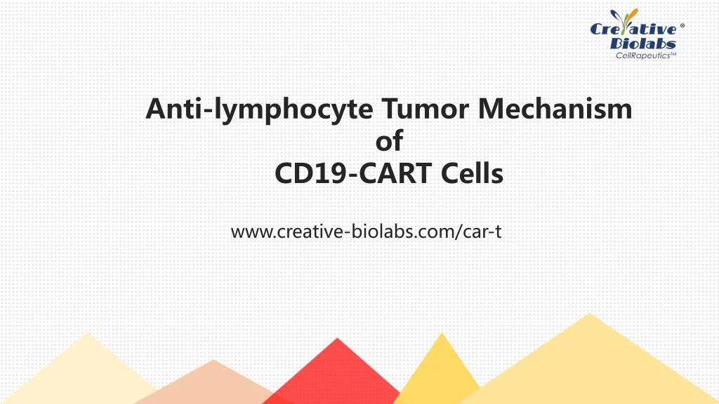 anti lymphocyte tumor mechanism of cd19 cart cells