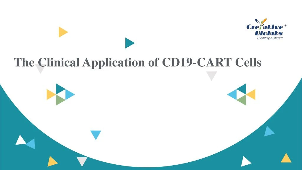 the clinical application of cd19 cart cells