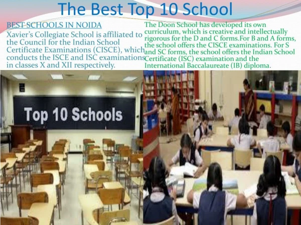 The Best Top 10 School