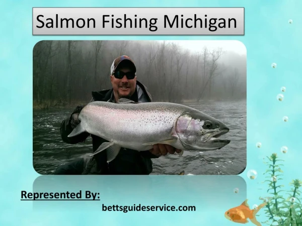 Salmon fishing Michigan