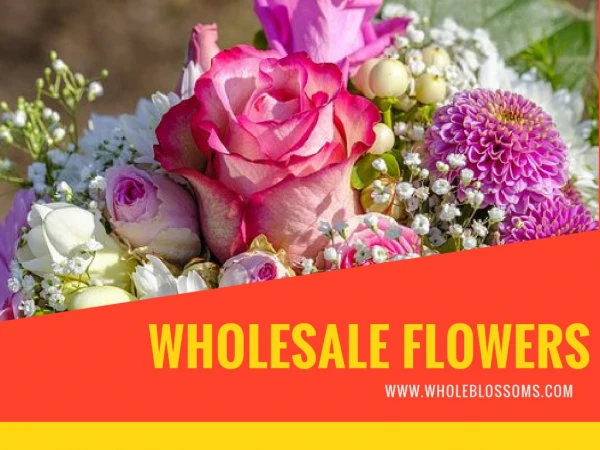 Perfect Wholesale Flowers for Any Event