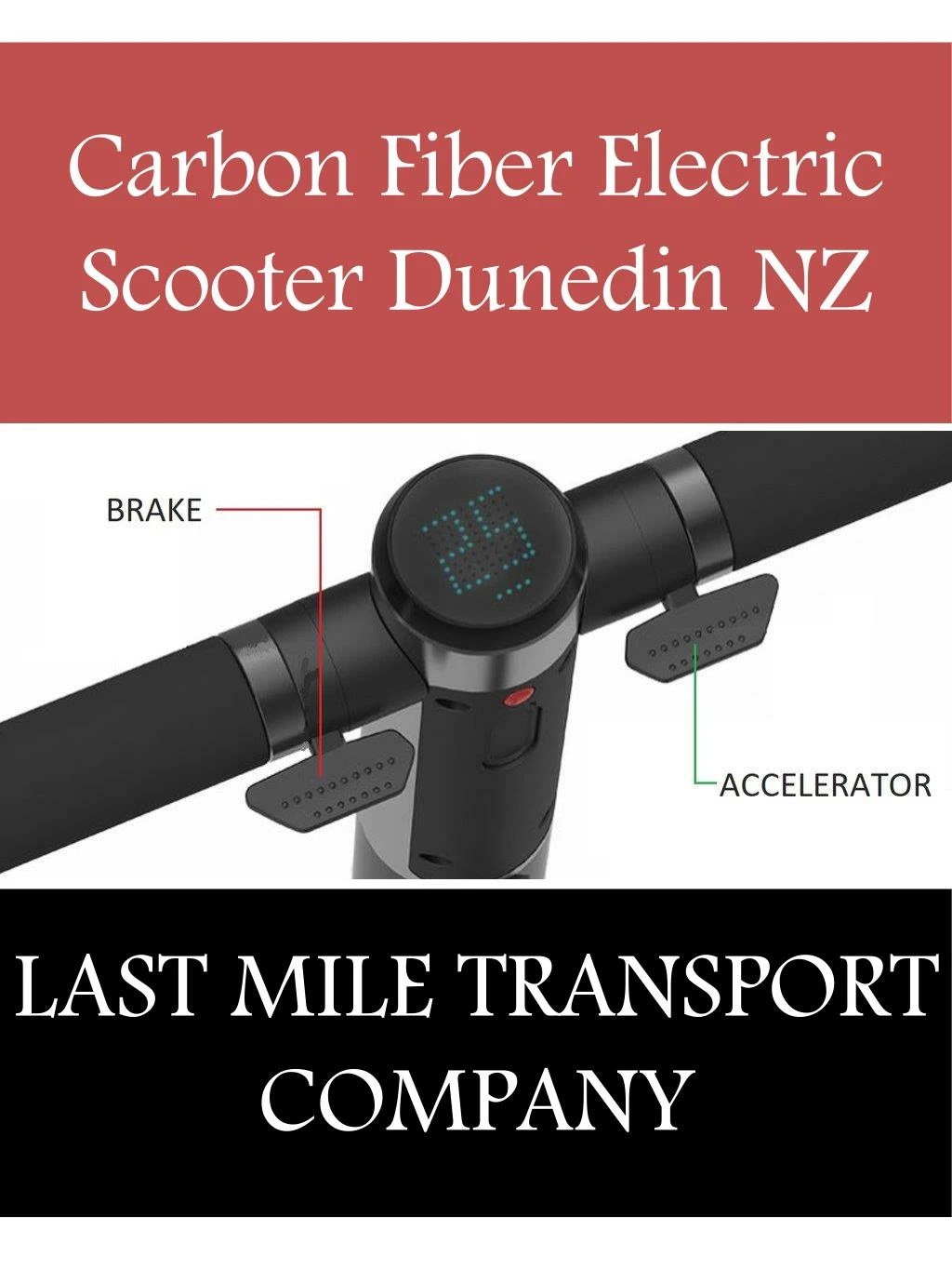 carbon fiber electric scooter dunedin nz