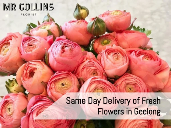 Same Day Delivery of Fresh Flowers in Geelong