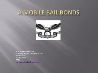 Bail Bonds Houston Texas - slide 1