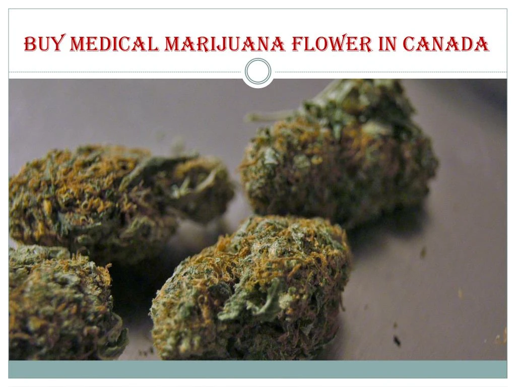buy medical marijuana flower in canada