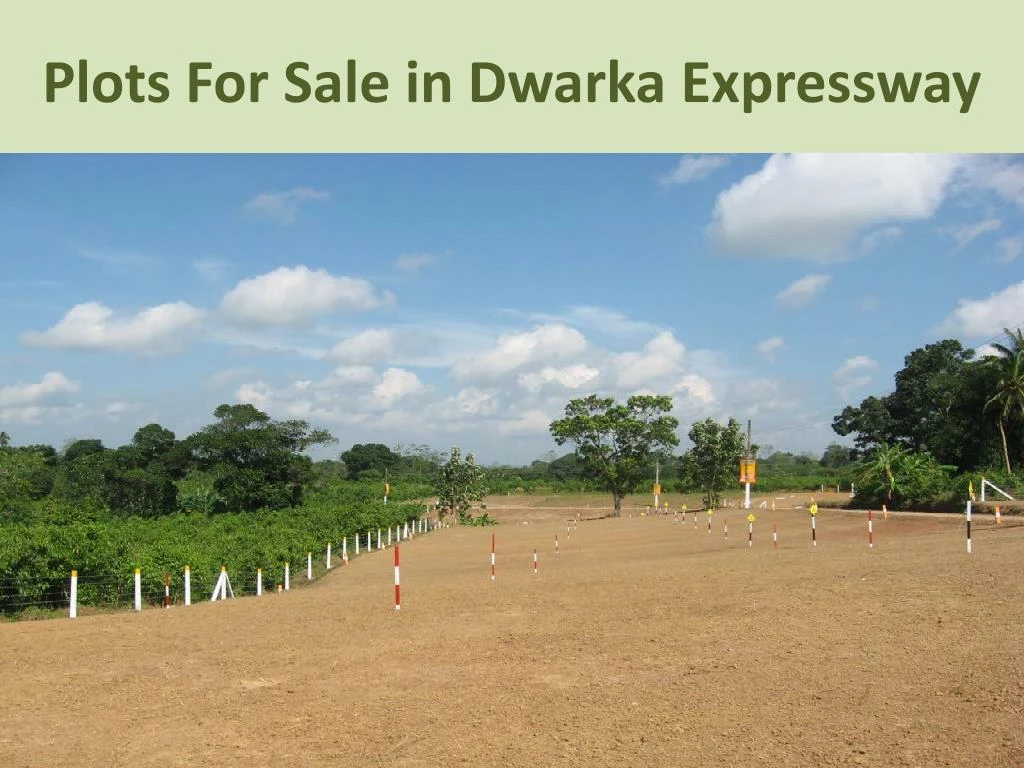 plots for sale in dwarka expressway