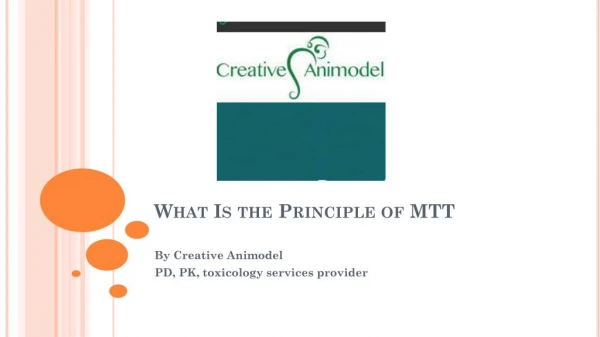 What Is the Principle of MTT