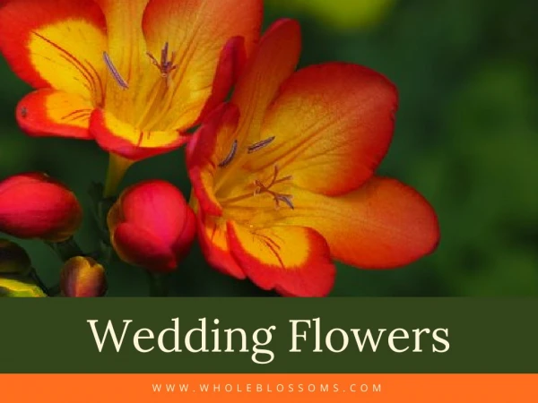 Different Varieties of Wedding Flowers