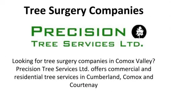 Tree Surgery Companies in Comox Valley