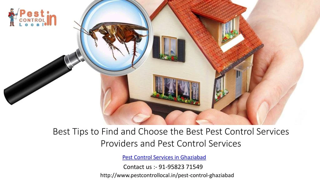 best tips to find and choose the best pest
