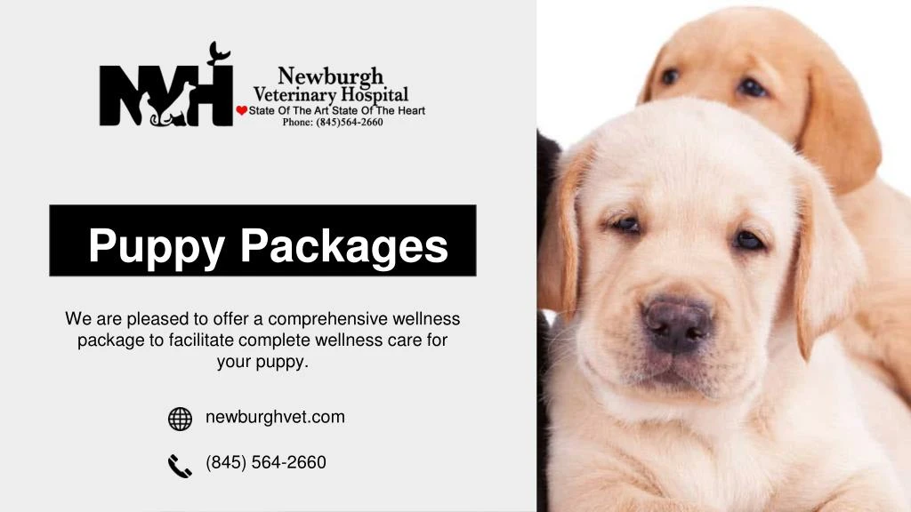 puppy packages