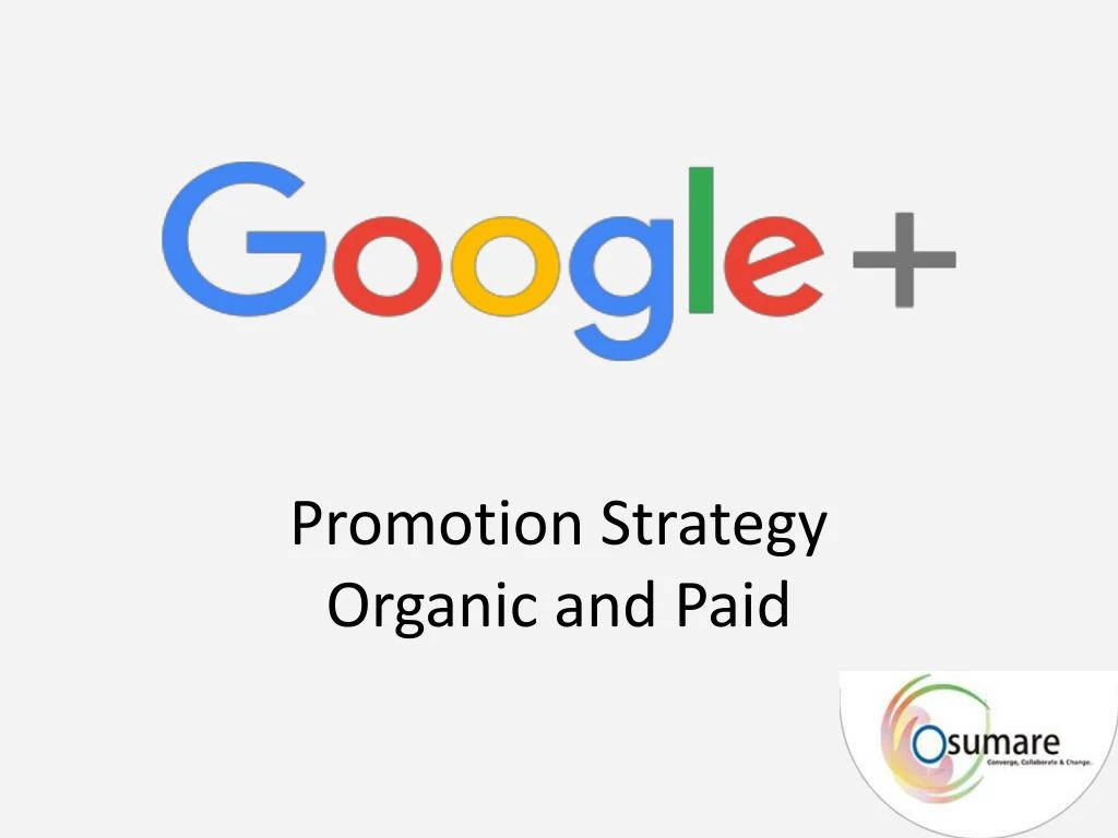 promotion strategy organic and paid