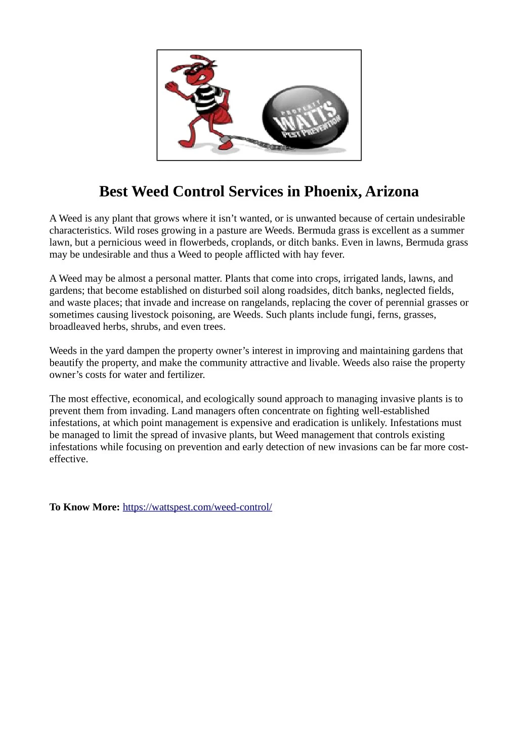 best weed control services in phoenix arizona