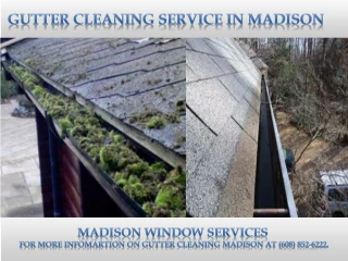 Gutter Cleaning Madison - slide 1