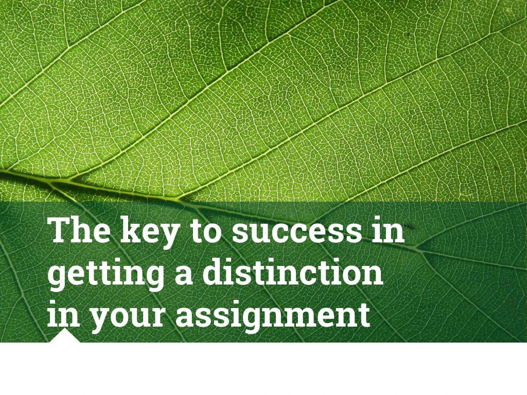 the key to success in getting a distinction in your assignment