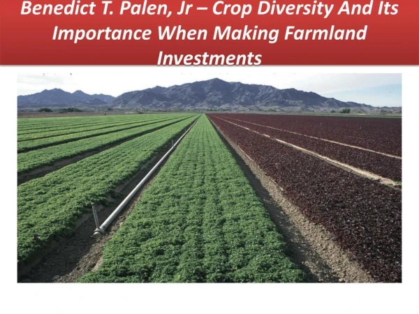 Benedict T. Palen, Jr – Crop Diversity And Its Importance When Making Farmland Investments