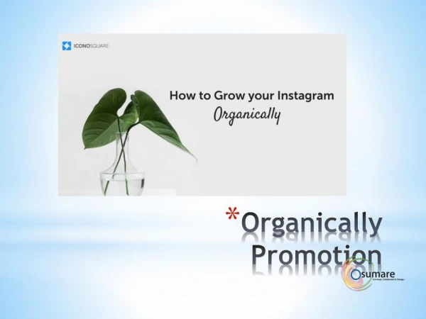 how to grow instagram organically?