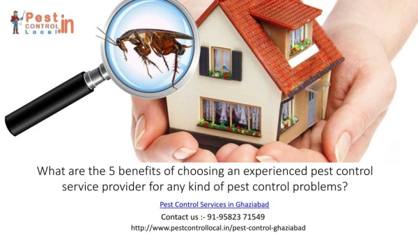 Who to choose for pest control services to be free from any kind of insect movements?