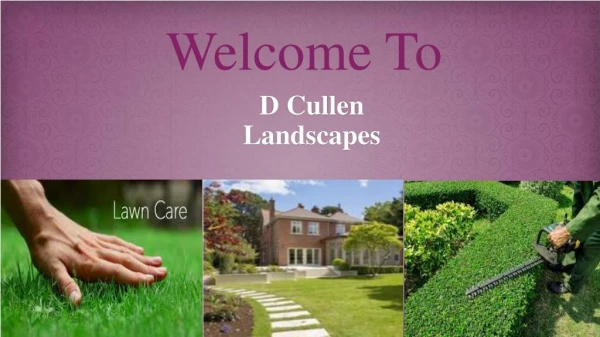 About Landscaping Service in Kildare