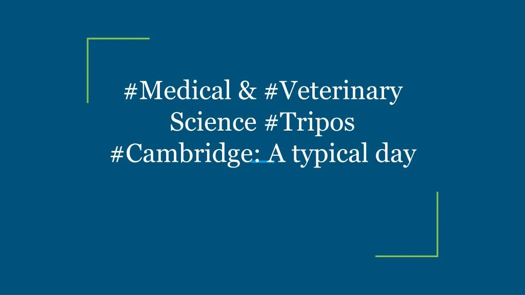 medical veterinary science tripos cambridge a typical day