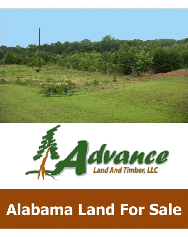 Alabama Land For Sale SC