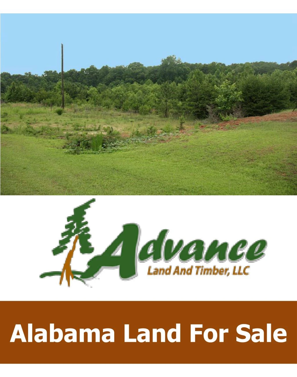 alabama land for sale