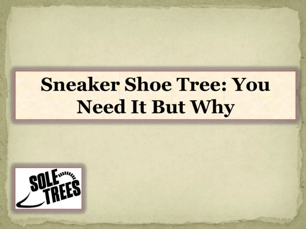 Sneaker Shoe Tree-You Need It But Why