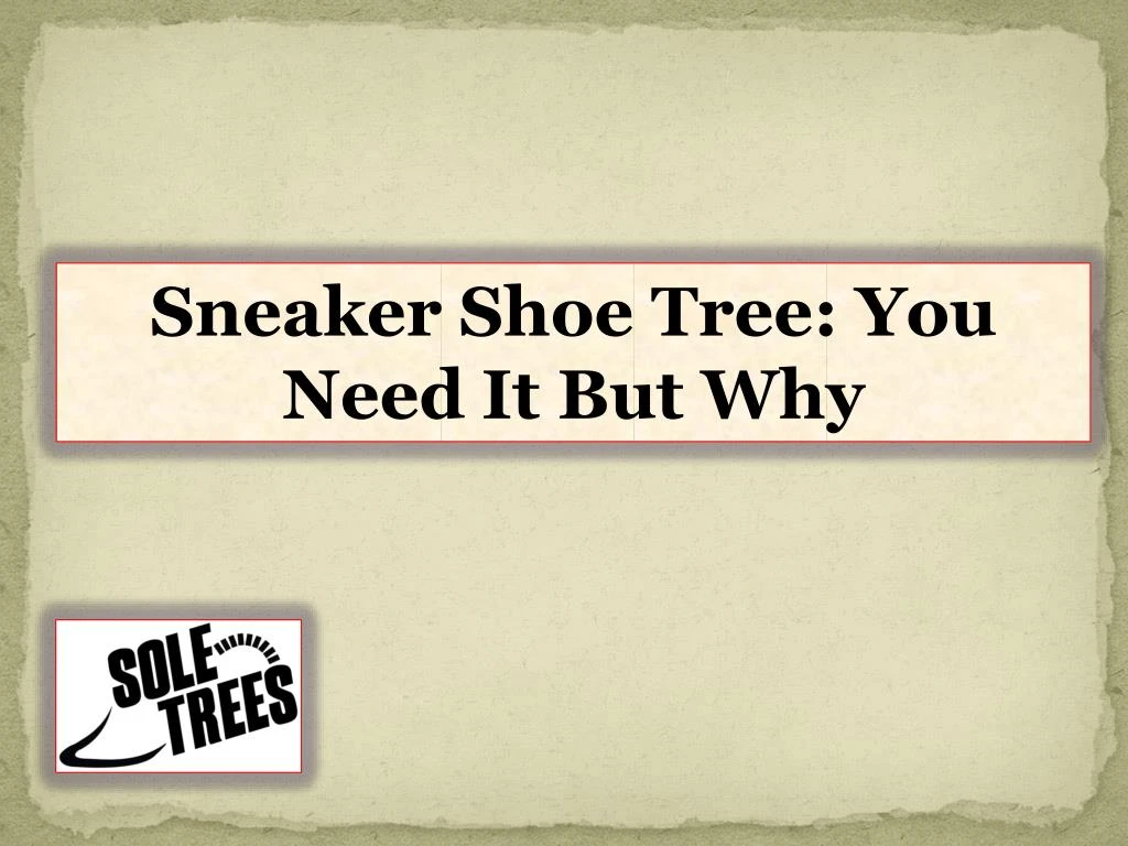 sneaker shoe tree you need it but why