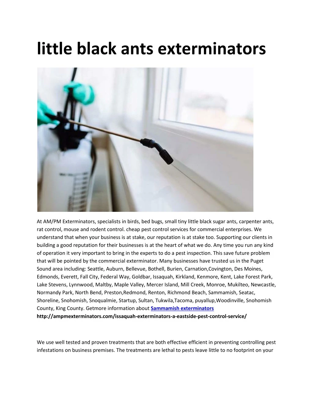 little black ants exterminators