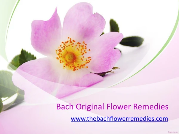 Bach Original Flower Remedies - www.thebachflowerremedies.com