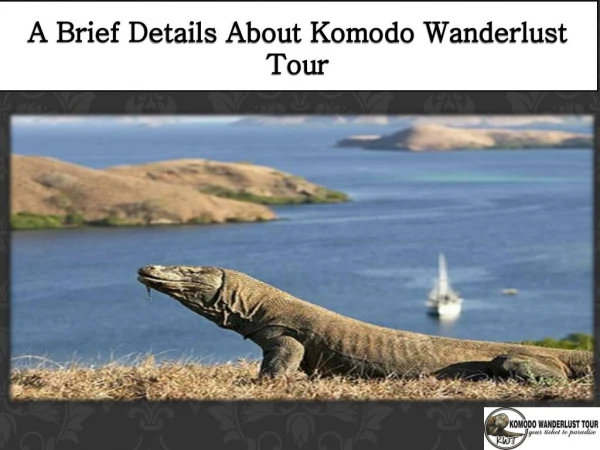 A Brief Details About Komodo Wanderlust Tour