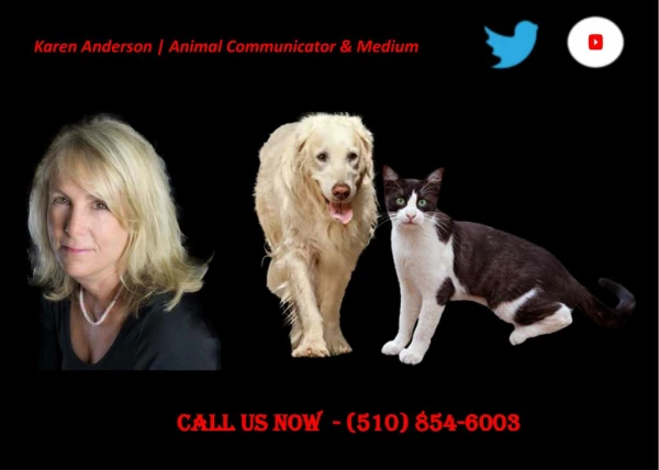 How To Communicate With Animals & Karen Anderson