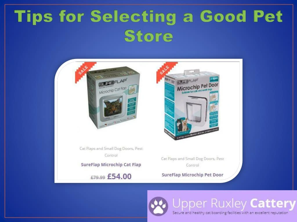tips for selecting a good pet store