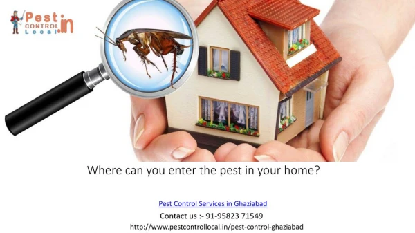 Who to choose for any kind of pest control services in Ghaziabad?