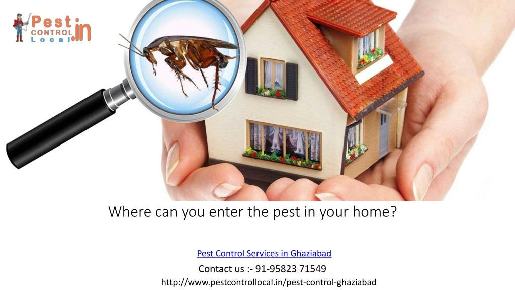 where can you enter the pest in your home