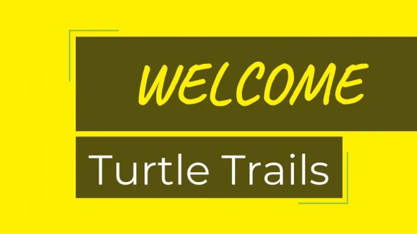 Motorcycle Tours India | Turtle Trails