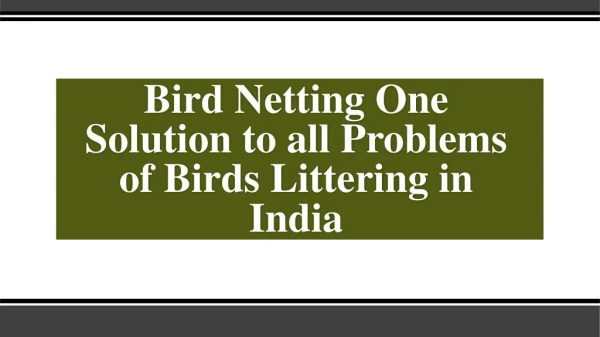 Use Society Bird Netting To Get Rid Of Unwanted Birds