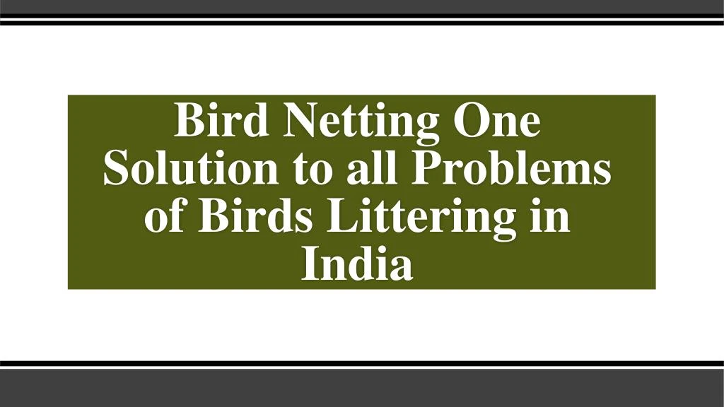 bird netting one solution to all problems of birds littering in india