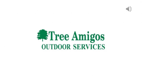 Residential Landscape Design - Tree Amigos Outdoor Services