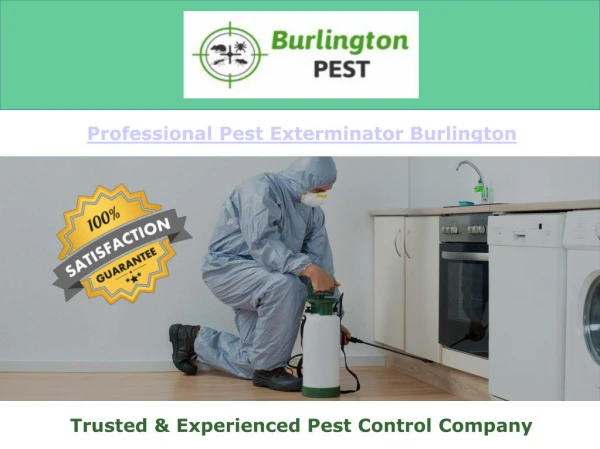 Professional Pest Exterminator Burlington